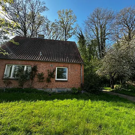 بيت للعطل Ferienhaus Frau Moeller راتسهبورغ