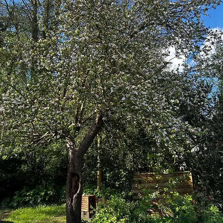 Ferienhaus Frau Moeller راتسهبورغ